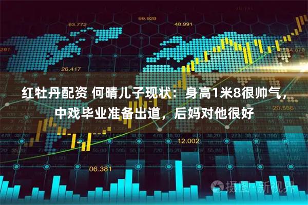 红牡丹配资 何晴儿子现状：身高1米8很帅气，中戏毕业准备出道，后妈对他很好